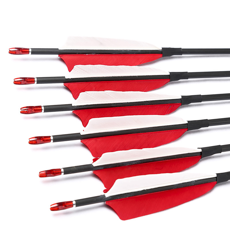 Carbon Arrows 30 Inch Spine 400 500 - Flèches de tir à l'arc en