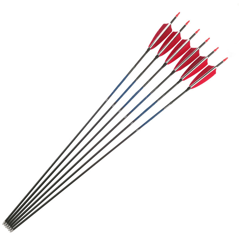Flèches de tir à l'arc en carb - Carbon Arrows 30 Inch Spine 400 500 avis et prix