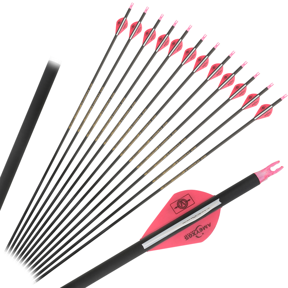 Tir à l'arc flèches en carbone - Carbon Arrows 30 Inch Spine 400 500 avis et prix