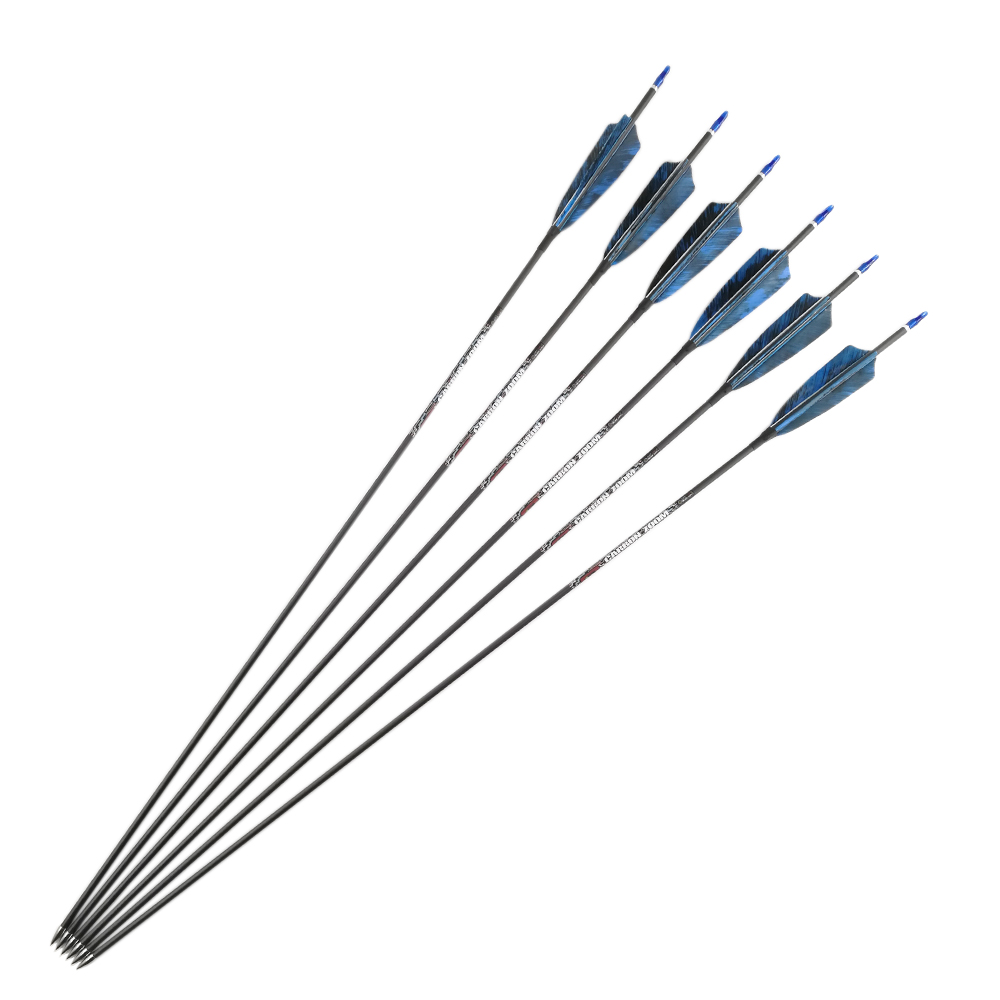 Flèches en carbone, arc recour - Carbon Arrows 30 Inch Spine 400 500 avis et prix