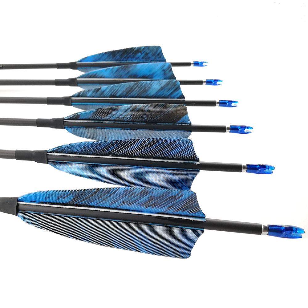 Flèches en carbone, arc recour - Carbon Arrows 30 Inch Spine 400 500 avis et prix