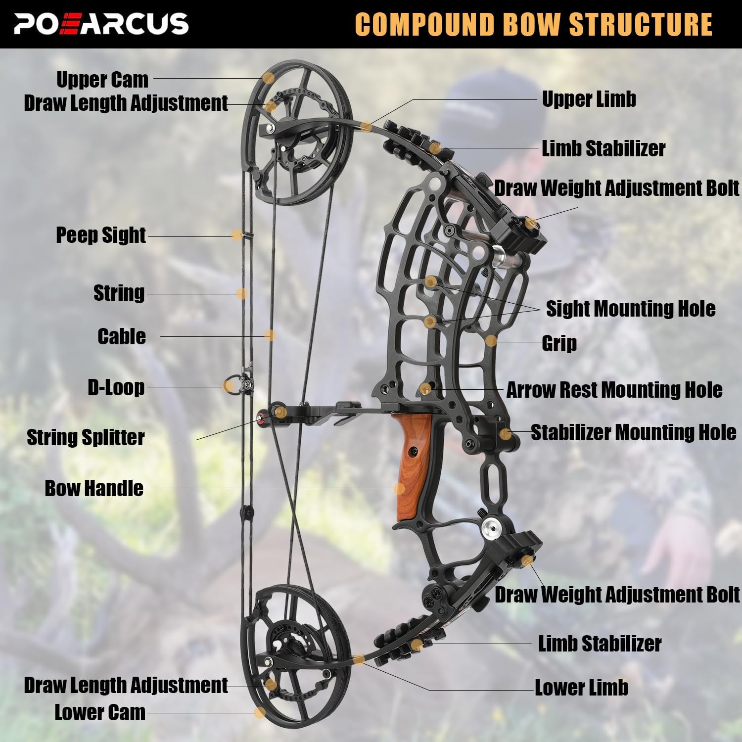 Ensemble d'arc à poulies à dou - Compound Bow Hunting 30-70 Lbs avis et prix