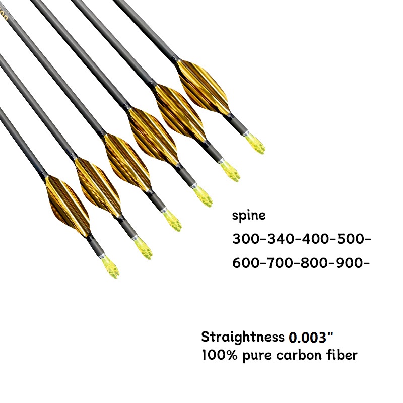 Flèche en carbone pur ID4.2mm, - Carbon Arrows 30 Inch Spine 400 500 avis et prix