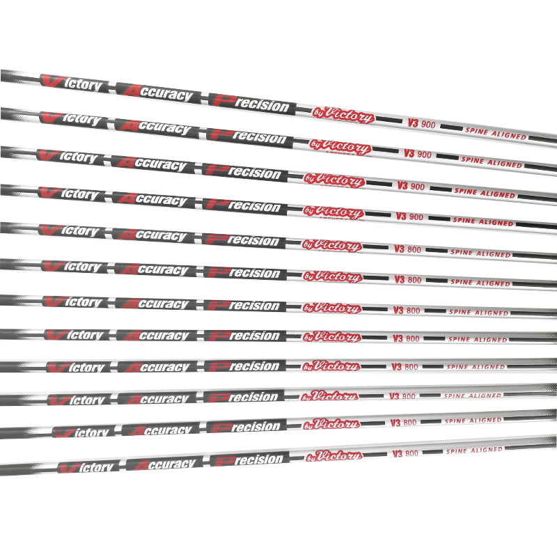 Flèche en carbone pur pour la  - Carbon Arrows 30 Inch Spine 400 500 avis et prix