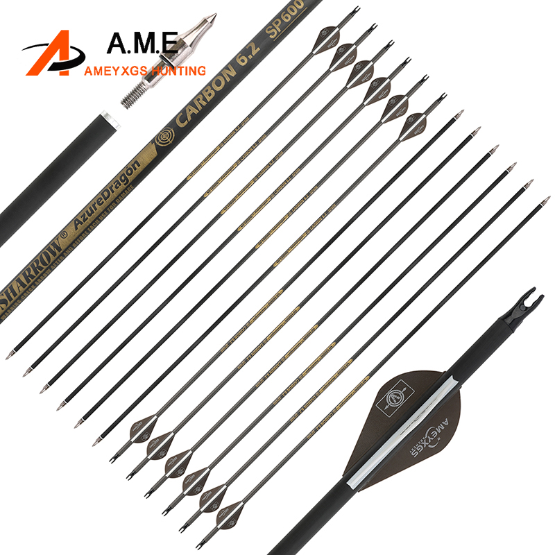 Flèche en carbone pur de 30 po - Carbon Arrows 30 Inch Spine 400 500 avis et prix