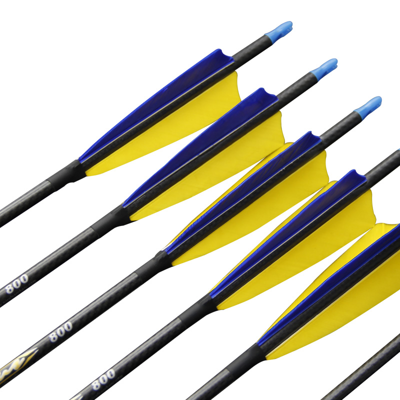 Lot de 12 flèches en carbone p - Carbon Arrows 30 Inch Spine 400 500 avis et prix