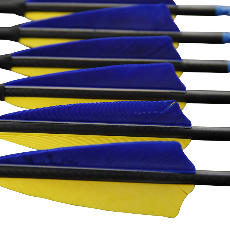 Lot de 12 flèches en carbone p - Carbon Arrows 30 Inch Spine 400 500 avis et prix